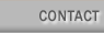 Button Contact Us