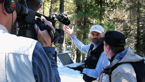 Field Productions