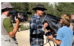 Field Productions