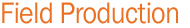 Field Production services